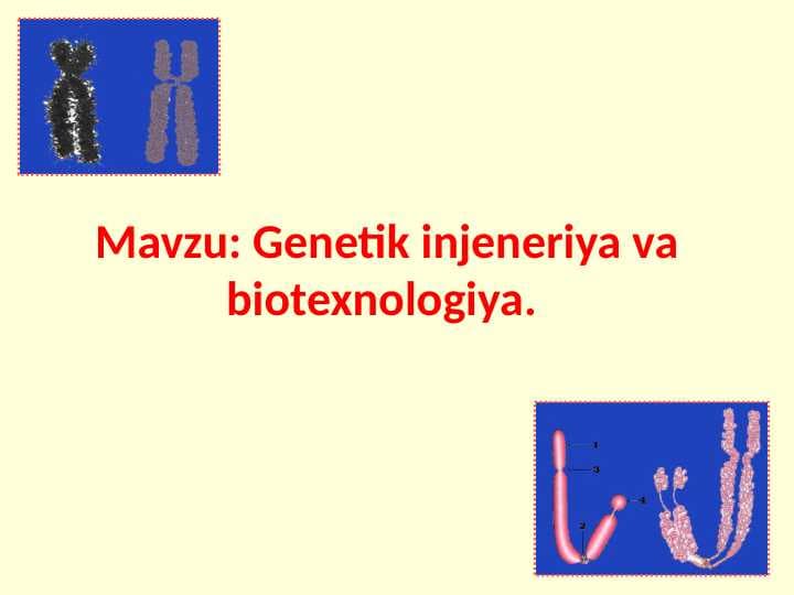 Gen muhandisligi asoslari