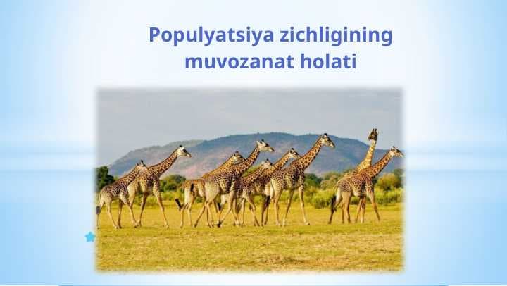Populyatsiya zichligining muvozanat holati