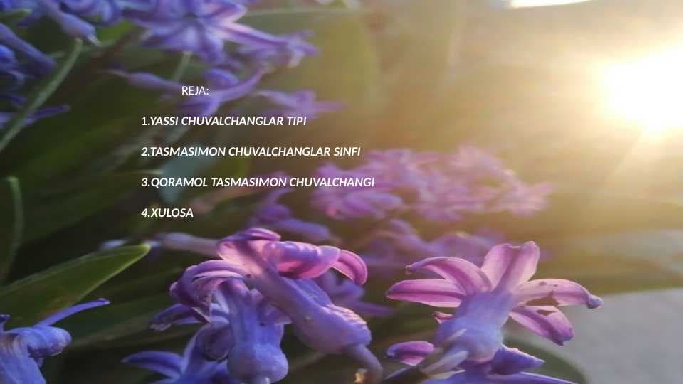 parazit chuvalchanglar,gelmentlar