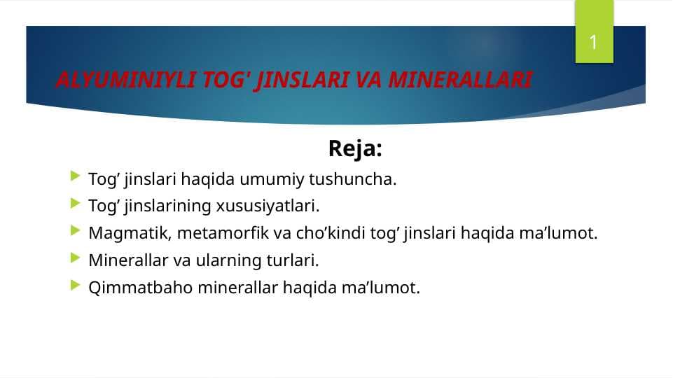 ALYUMINIYLI TOG' JINSLARI VA MINERALLARI — копия
