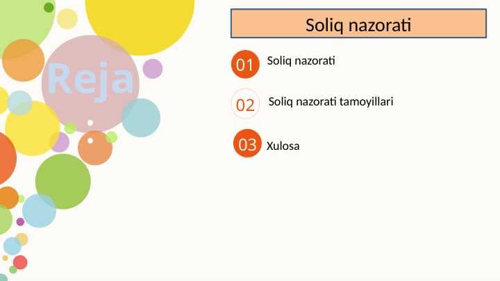 Soliq nazorati