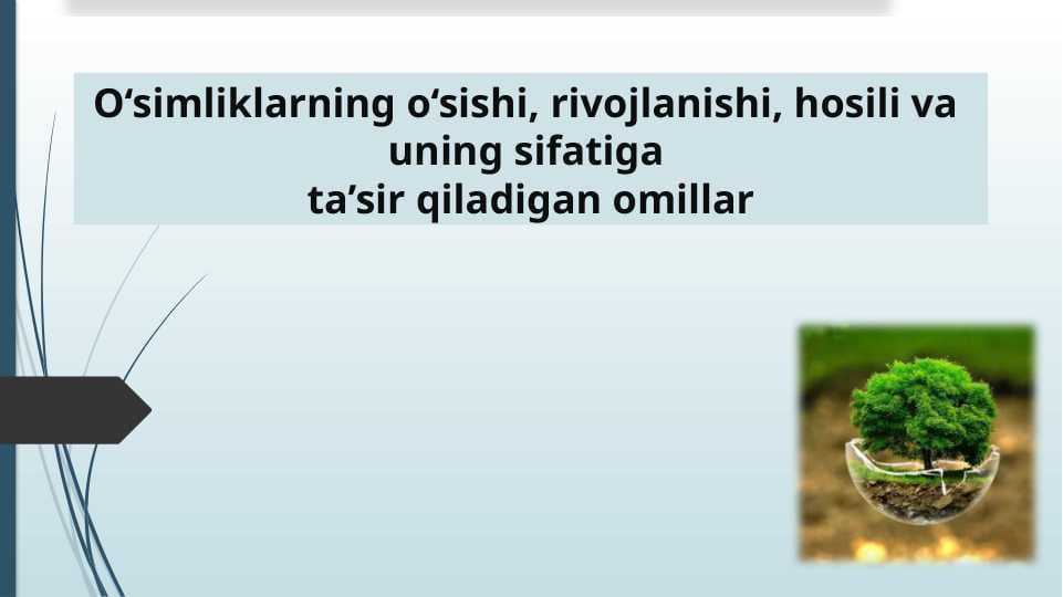 O‘simliklarning o‘sishi, rivojlanishi,
