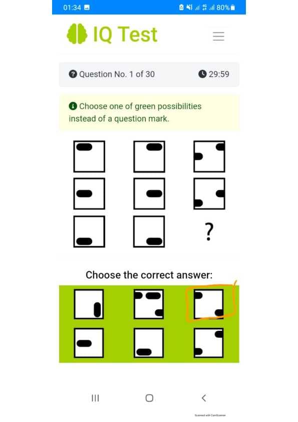 argos IQ test