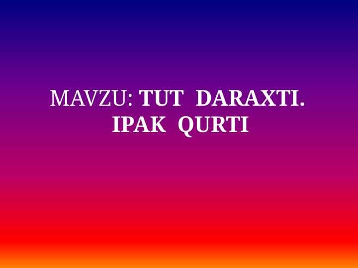TUT  DARAXTI.  IPAK  QURTI