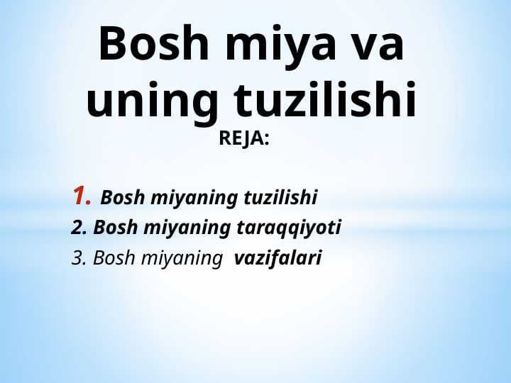Bosh miya va uning tuzilishi