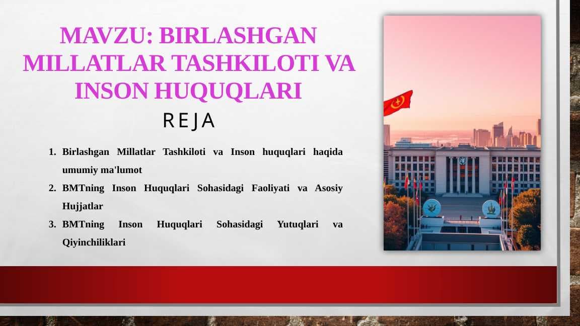 BIRLASHGAN MILLATLAR TASHKILOTI VA INSON HUQUQLARI