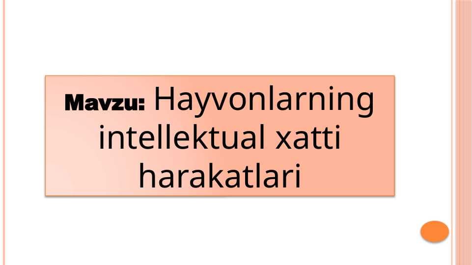 Hayvonlarning intellektual xatti harakatlari