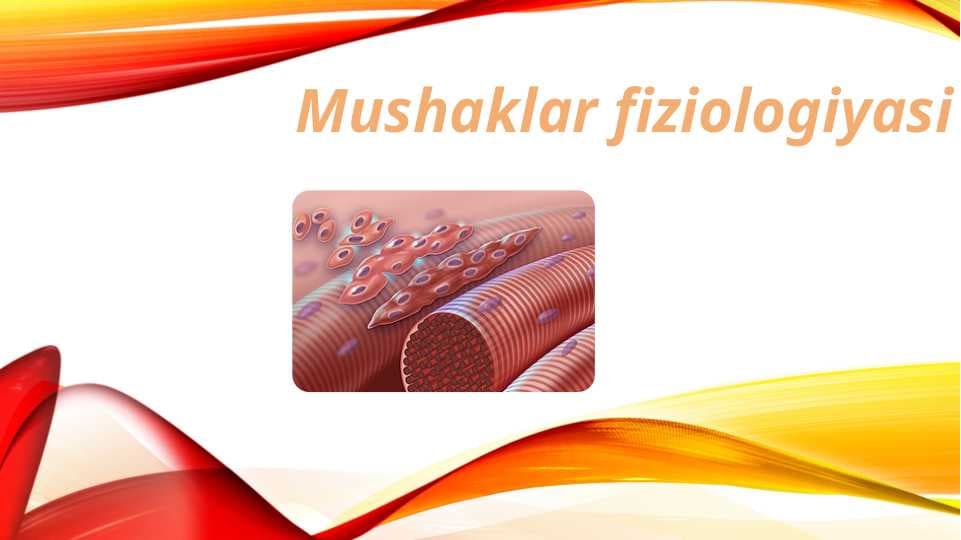 Mushaklar fiziologiyasi