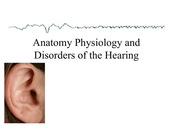 Anatomy Physiology and Disorders of the Hearing