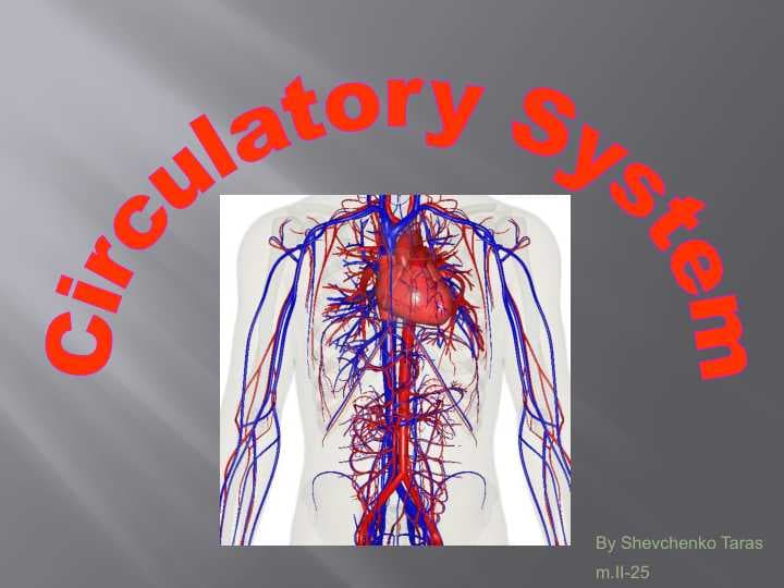 Circulatory System