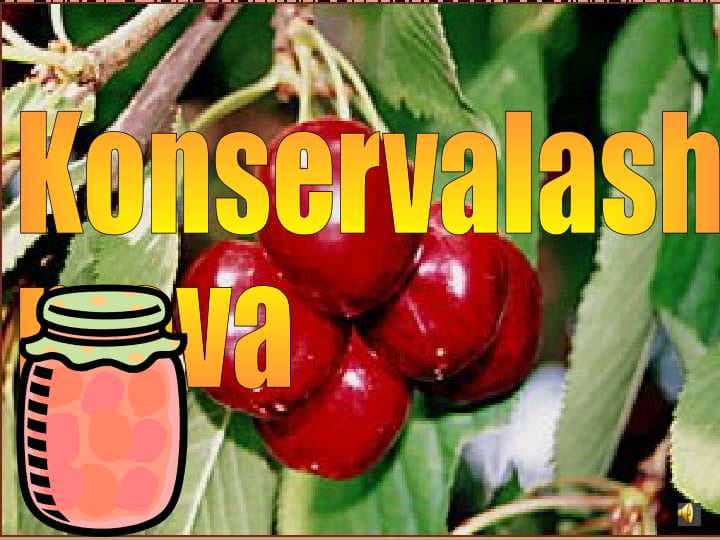 Konservalash
