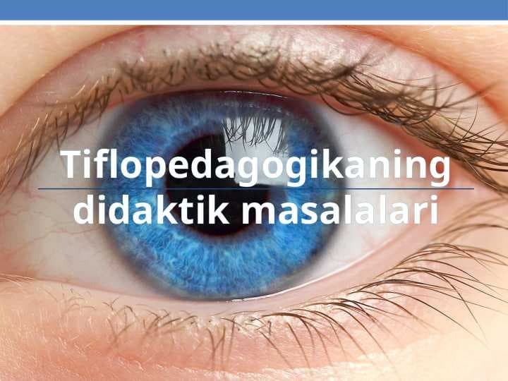 Tiflopedagogikaning didaktik masalalari