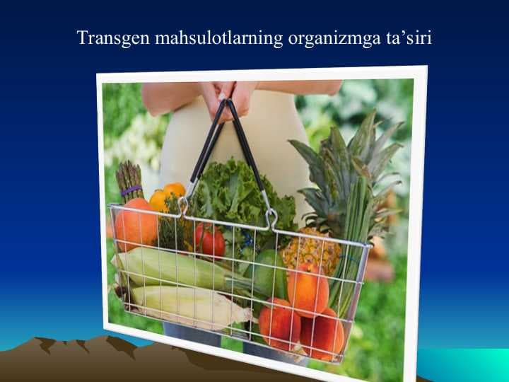 Transgen mahsulotlarning organizmga ta’siri