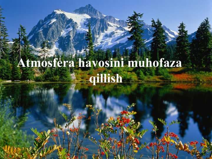 Atmosfera havosini muhofaza  qillish
