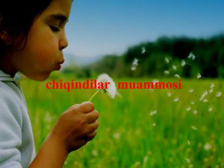 chiqindilar  muammosi