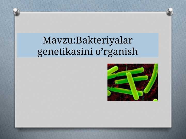 Bakteriyalar genetikasini o’rganish