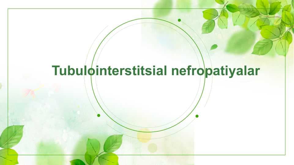 Tubulointerstitsial nefropatiyalar