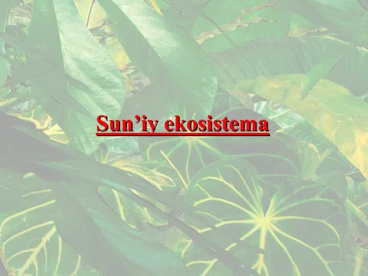 Sun’iy ekosistema