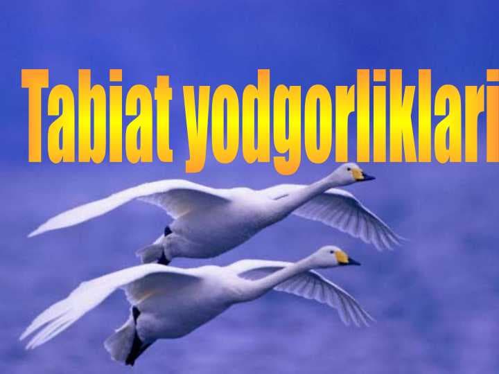 Tabiat yodgorliklari