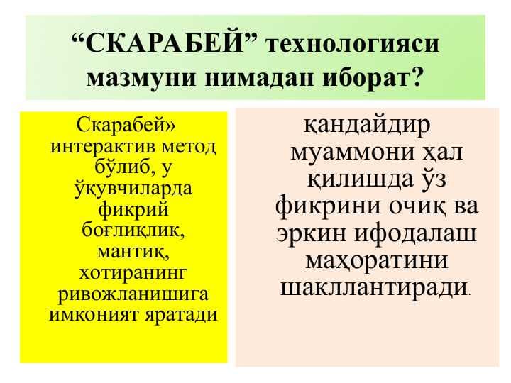 “СКАРАБЕЙ” технологияси