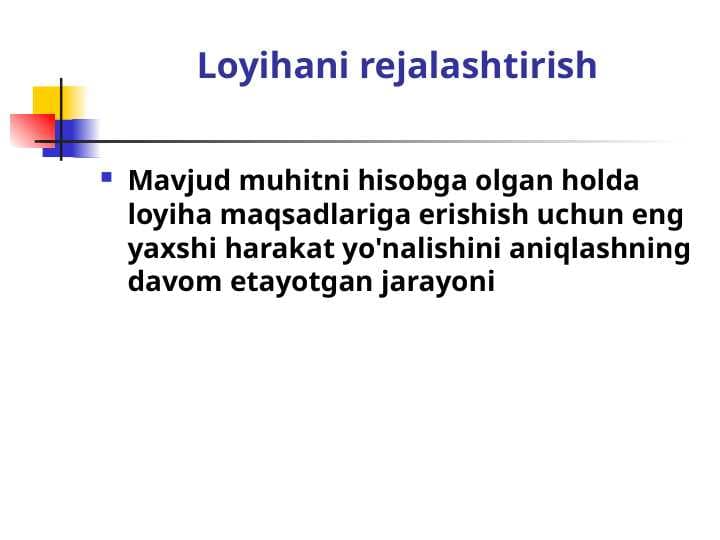 Loyihani rejalashtirish