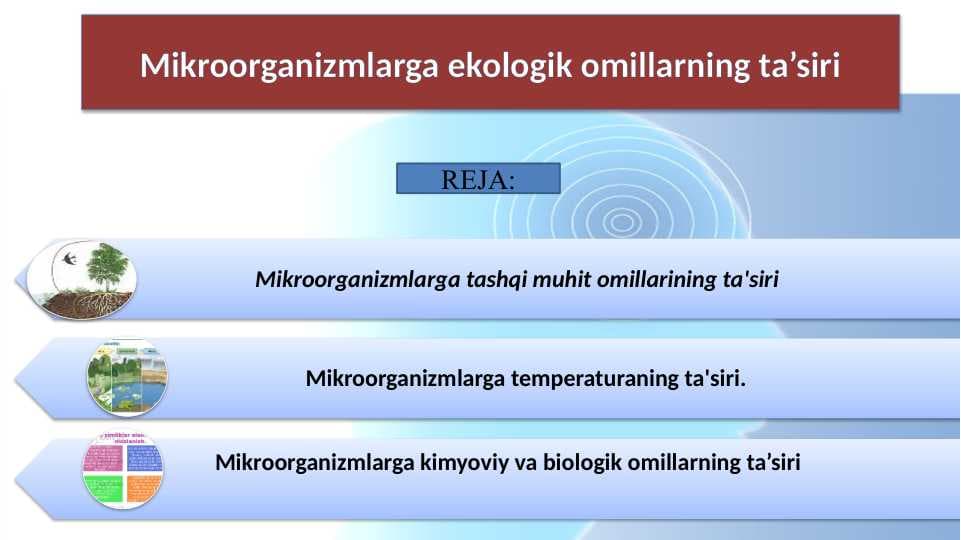 Mikroorganizmlarga ekologik omillarning ta’siri