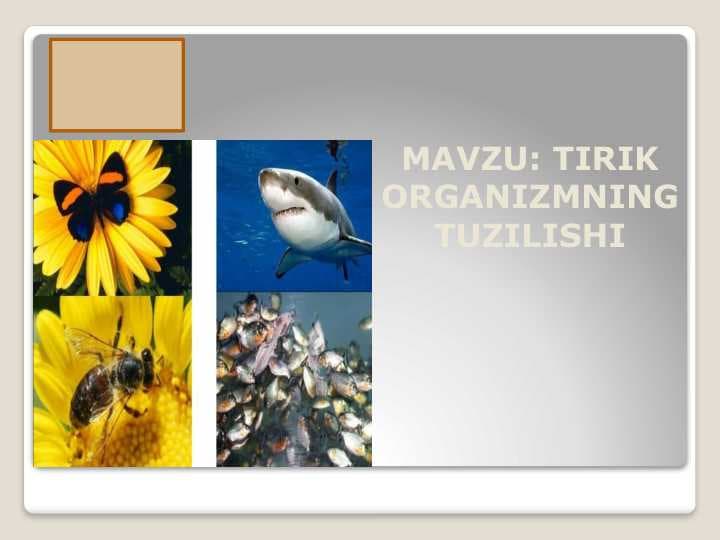 TIRIK ORGANIZMNING TUZILISHI