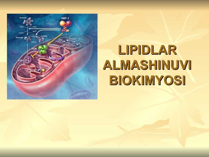 LIPIDLAR ALMASHINUVI BIOKIMYOSI