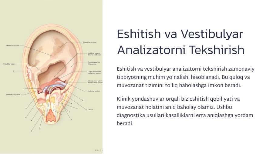 Eshitish va vestibulyar analizatorini tekshirish.