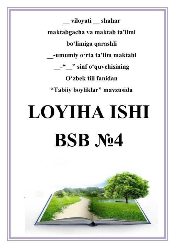 Tabiiy boyliklar loyiha ishis bsb
