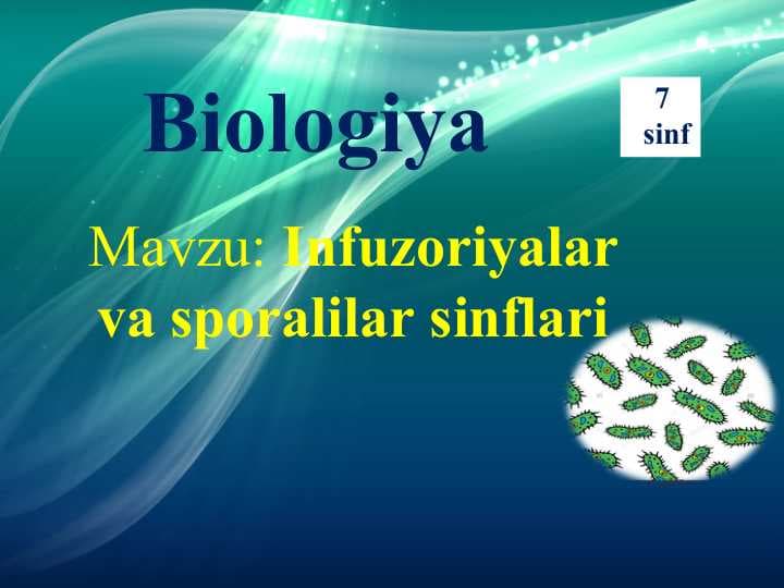 Infuzoriyalar va sporalilar sinflari