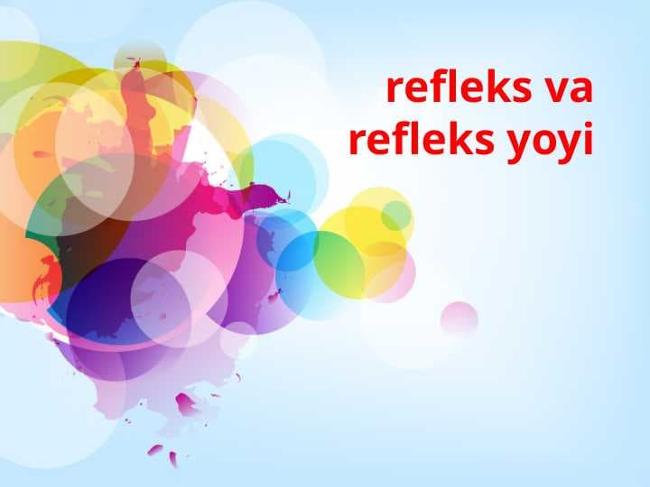 refleks va refleks yoyi