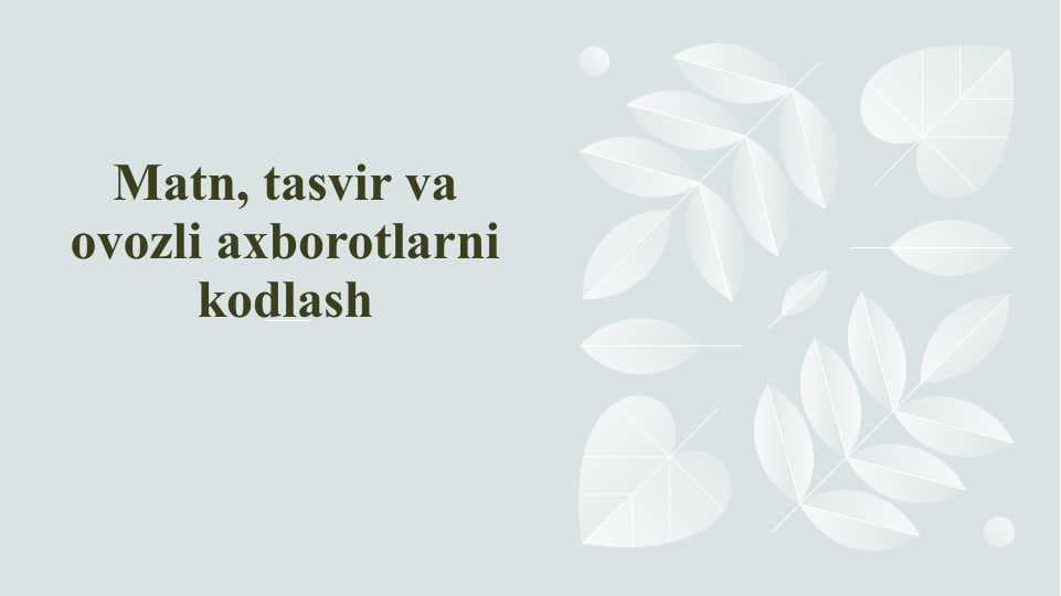 Matn, tasvir va ovozli axborotlarni kodlash