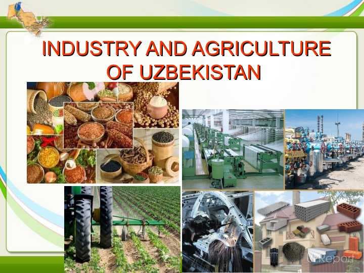 INDUSTRY AND AGRICULTURE OF UZBEKISTAN