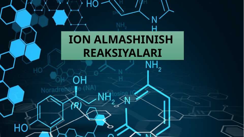 Ion almashinish