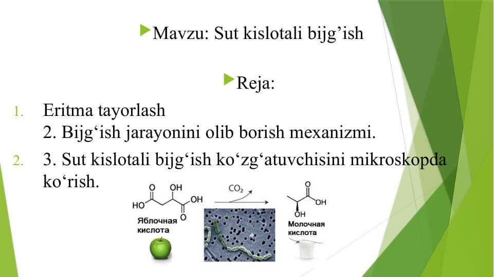 Sut kislotali bijg’ish