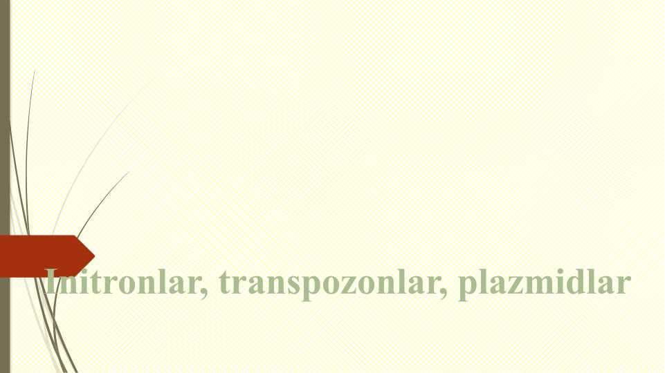 Initronlar, transpozonlar, plazmidlar