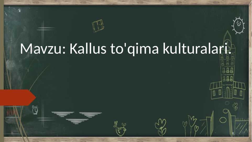 Kallus to'qima kulturalari