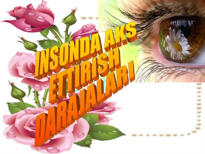 INSONDA AKS
