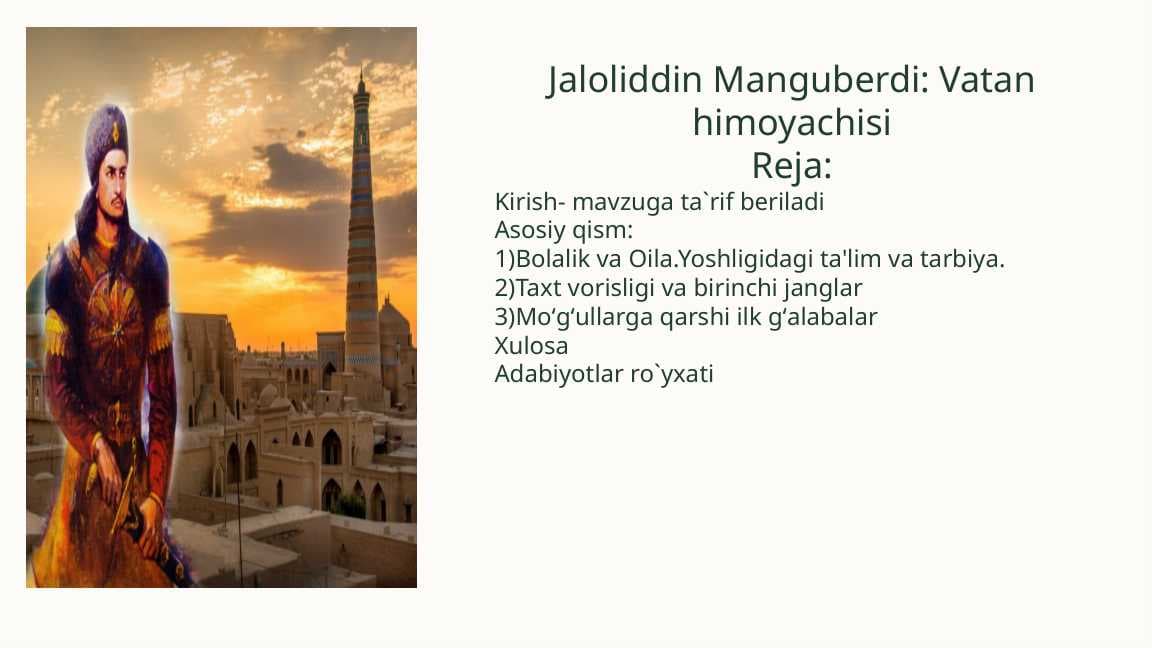 Jaloliddin Manguberdi: Vatan himoyachisi