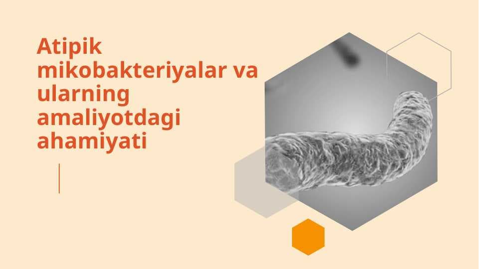 Atipik mikobakteriyalar va ularning amaliyotdagi ahamiyati