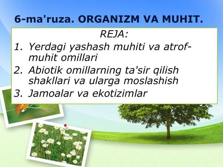 ORGANIZM VA MUHIT