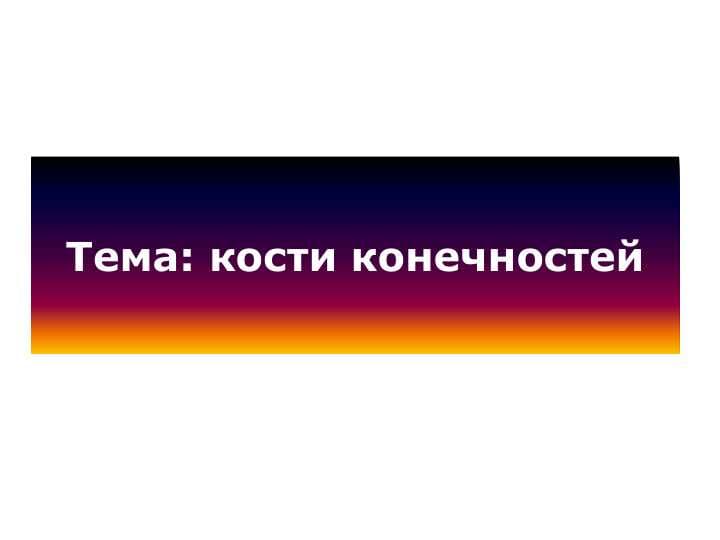 кости конечностей Пояс верхних конечностей