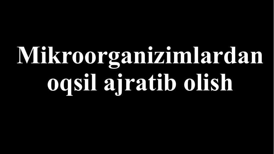 Mikroorganizimlardan oqsil ajratib olish