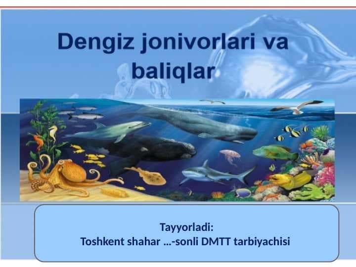 Dengiz jonivorlari va baliqlar