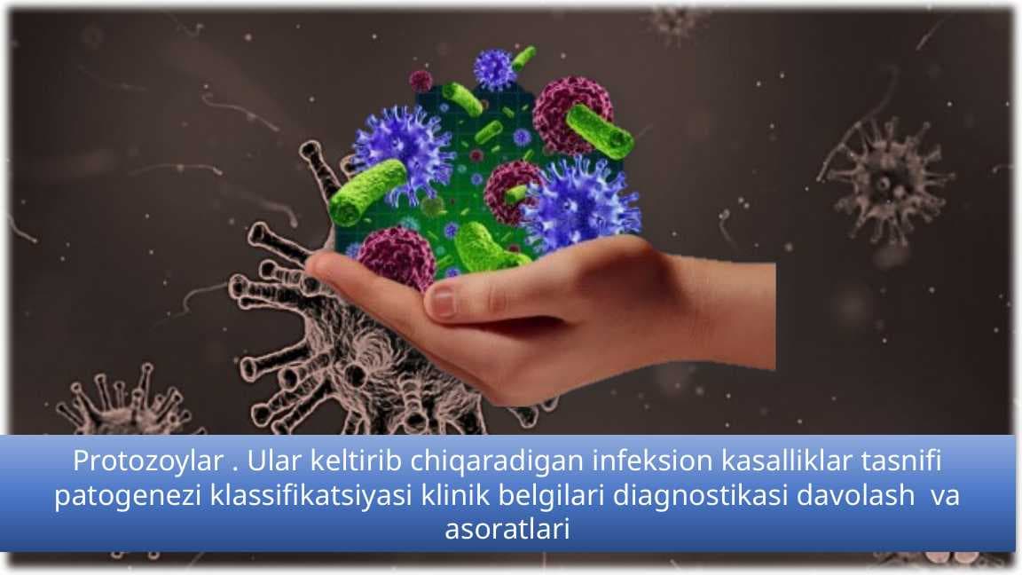 Protozoylar-Umumiy-malumot-va-infeksion-kasalliklar