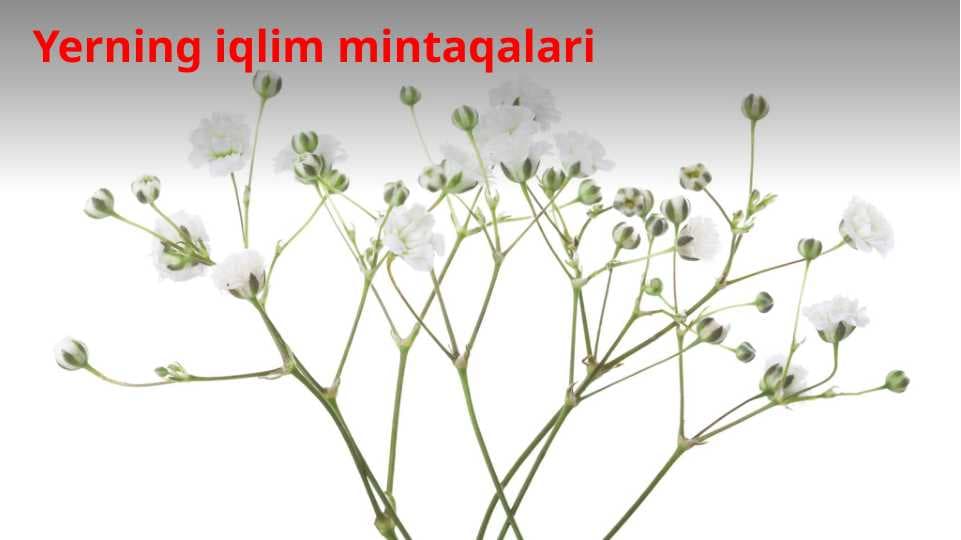 Yerning iqlim mintaqalari