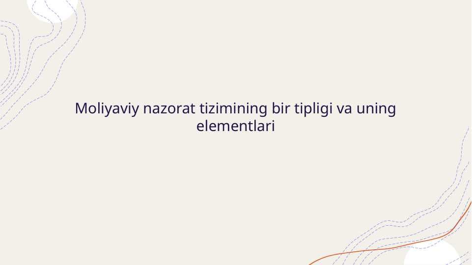 Moliyaviy nazorat tizimining bir tipligi va uning elementlari