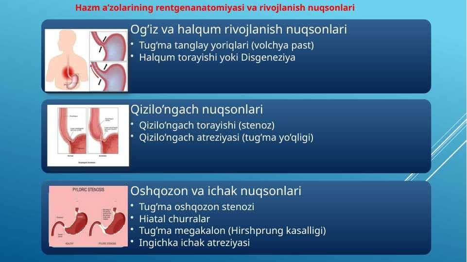 Anatomiya ichki organlar grafik organeyzer