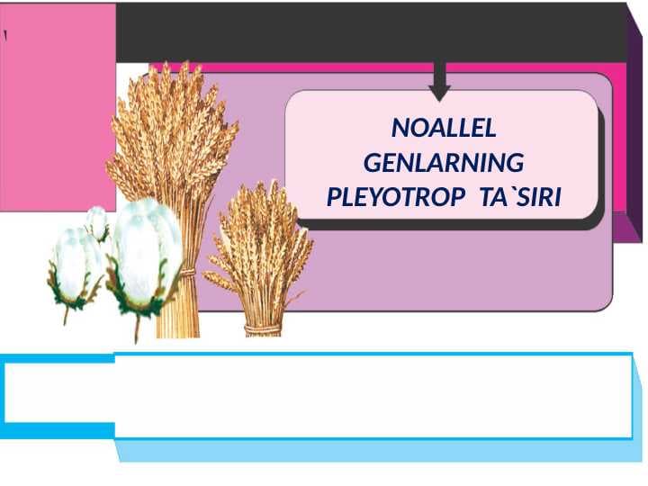 NOALLEL GENLARNING PLEYOTROP  TA`SIRI